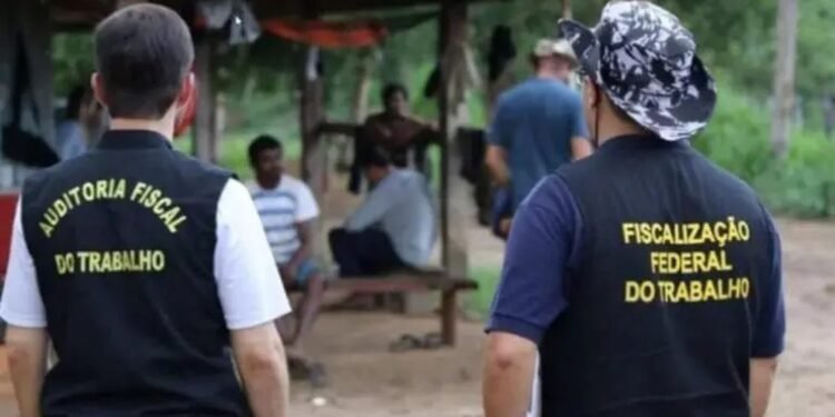Empregadores do Amazonas estão na ‘Lista Suja’ do trabalho análogo à escravidão; veja quem são