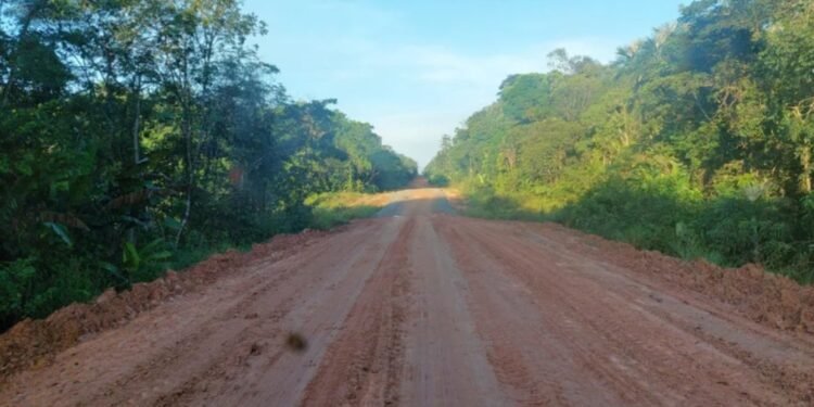 Editais para obras em trechos da BR-319 são publicados; veja detalhes