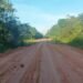 Editais para obras em trechos da BR-319 são publicados; veja detalhes