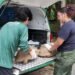 Em três dias, 53 animais silvestres são resgatados de cativeiros ilegais na zona leste de Manaus
