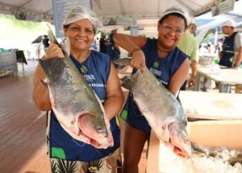 Feirão do Pescado em Manaus segue até sexta (3); veja horários e locais