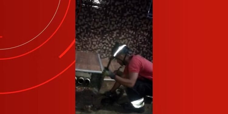Sucuri de quase dois metros é resgatada em frente a casa na Zona Centro-Oeste de Manaus