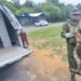 Jiboia é resgatada em jardim de escola na Zona Norte de Manaus