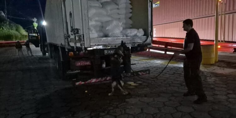 Cerca de 150 kg de drogas são apreendidos em freezer dentro de caminhão na Zona Leste de Manaus