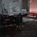 Cerca de 150 kg de drogas são apreendidos em freezer dentro de caminhão na Zona Leste de Manaus