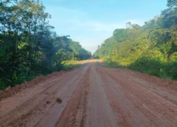 Dnit reabre prazo para editais de licitação de obras na BR-319 após Justiça derrubar suspensões