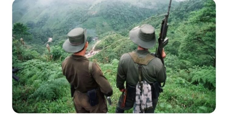 Dissidentes das Farc e facções brasileiras aliam-se por controle de crimes na Amazônia, diz coronel do exército colombiano