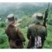 Dissidentes das Farc e facções brasileiras aliam-se por controle de crimes na Amazônia, diz coronel do exército colombiano