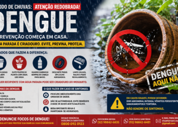 Período chuvoso acende alerta para aumento de casos de dengue no Amazonas