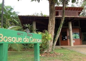 Bosque da Ciência tem programação especial para a Semana do Meio Ambiente