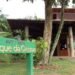 Bosque da Ciência tem programação especial para a Semana do Meio Ambiente