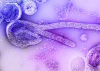 RS investiga caso suspeito de ebola na Grande Porto Alegre