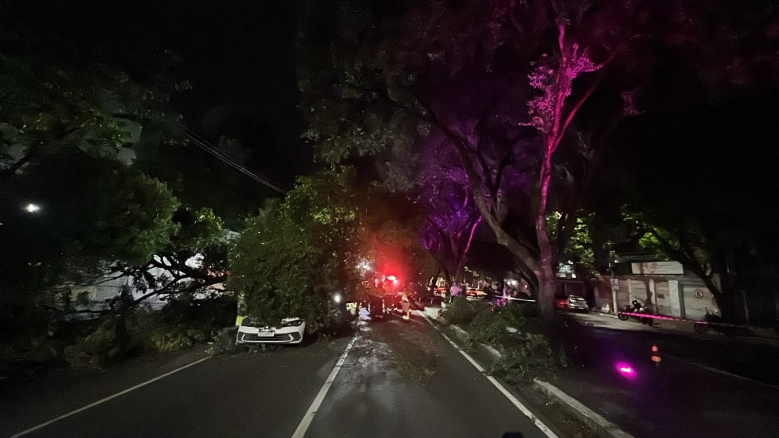 Árvore cai sobre carro e provoca congestionamento na Avenida Getúlio Vargas, em Manaus