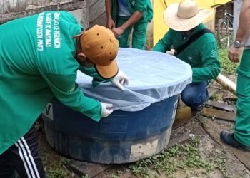 Amazonas atualiza cenário das arboviroses nesta segunda-feira