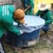 Amazonas atualiza cenário das arboviroses nesta segunda-feira