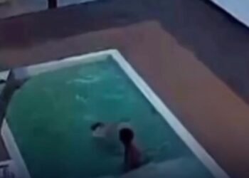 Pai percebe afogamento a tempo e salva dois filhos de tragédia em piscina no interior de Alagoas