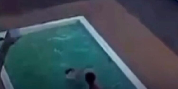 Pai percebe afogamento a tempo e salva dois filhos de tragédia em piscina no interior de Alagoas