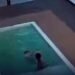 Pai percebe afogamento a tempo e salva dois filhos de tragédia em piscina no interior de Alagoas