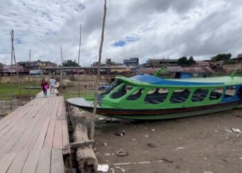 Amazonas decreta emergência climática e ambiental por risco de seca, queimadas e ondas de calor