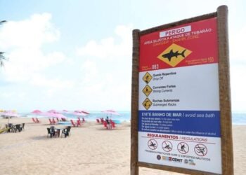 Por que o Grande Recife registra tantos incidentes com tubarões? Entenda os fatores