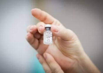 Tomou a vacina da dengue suspensa pelo Ministério da Saúde? Veja quais cuidados adotar e quando procurar ajuda