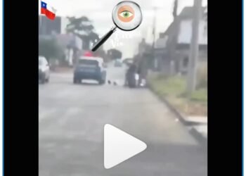 Mulher surpreende policiais ao entregar arma escondida durante abordagem e vídeo viraliza nas redes