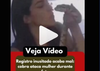 Registro inusitado acaba mal: cobra ataca mulher durante foto