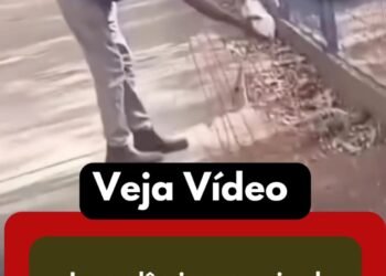 Imprudência com animal silvestre resulta em grave ferimento na mão