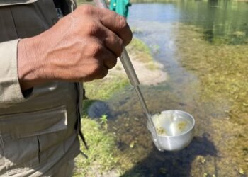 Amazonas registra queda de quase 19% nos casos de malária nos primeiros cinco meses de 2026, diz FVS