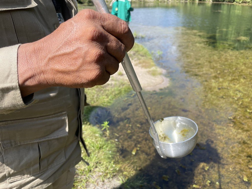 Amazonas registra queda de quase 19% nos casos de malária nos primeiros cinco meses de 2026, diz FVS