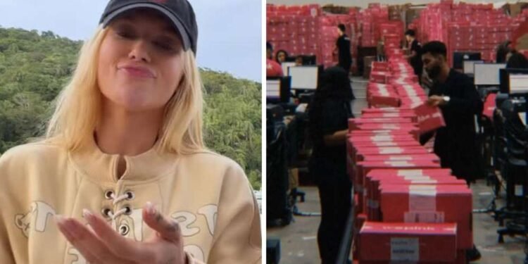 Virginia posta vídeo de fábrica da We Pink após investigação da PF se tornar pública