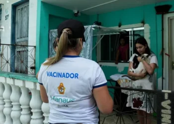 Manaus abre processo seletivo com 295 vagas para campanha antirrábica; salários chegam a R$ 8 mil