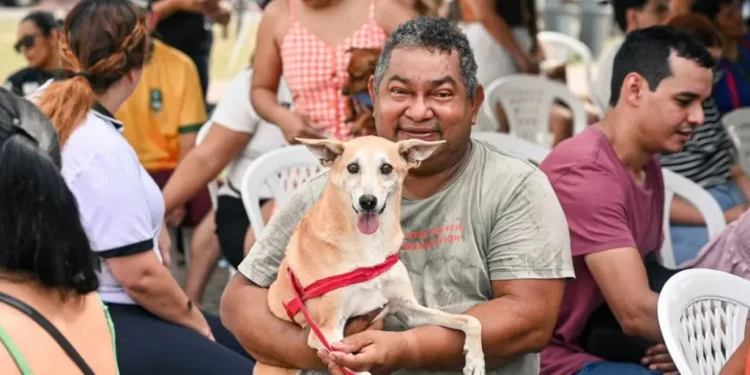 Governo oferece mais de 450 vagas para castração gratuita de animais no Educandos e em Petrópolis