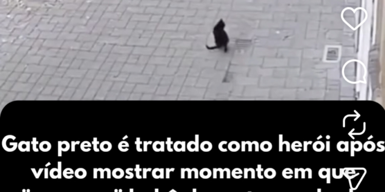 Gato preto é tratado como herói após vídeo de bebê em queda viralizar nas redes sociais