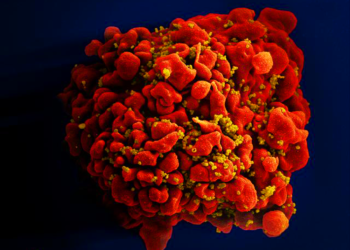 HIV: dois novos casos de cura são anunciados; total chega a 13