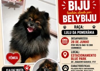 🐾 Ajude a encontrar a Bijú!