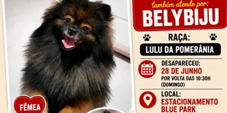 🐾 Ajude a encontrar a Bijú!