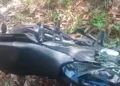 Idoso morre após perder controle de motocicleta e bater em árvore na estrada do Amazonas