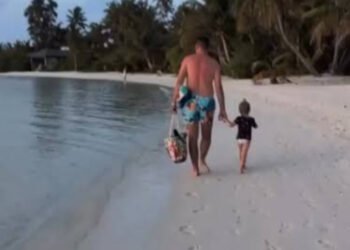Caçada relâmpago: pequeno tubarão surpreende turistas ao capturar peixe em águas rasas nas Maldivas