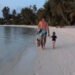 Caçada relâmpago: pequeno tubarão surpreende turistas ao capturar peixe em águas rasas nas Maldivas