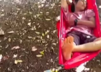 Sangue-frio impressiona: homem finge estar dormindo para evitar ataque de cobra e cena viraliza