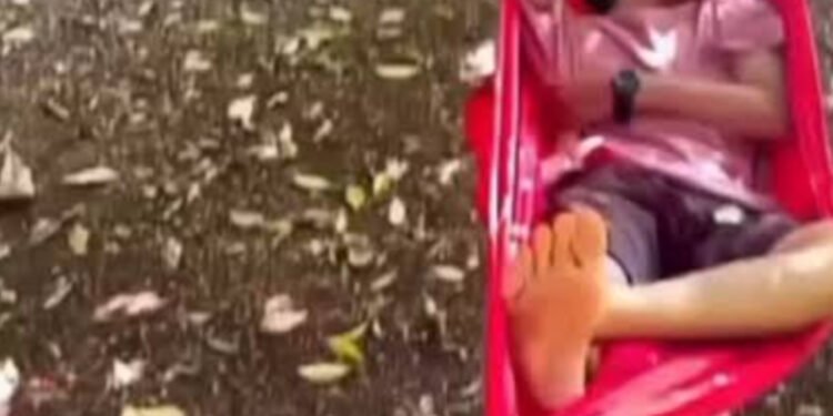 Sangue-frio impressiona: homem finge estar dormindo para evitar ataque de cobra e cena viraliza
