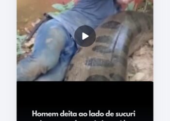 Homem deita ao lado de sucuri gigante na Amazônia e vídeo impressiona milhões nas redes sociais