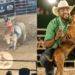 Vira-lata rouba a cena em rodeio, desafia touro na arena e ganha novo lar em Goiás