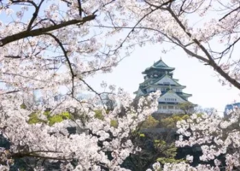 Japão deve adotar autorização eletrônica para entrada de brasileiros