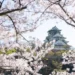 Japão deve adotar autorização eletrônica para entrada de brasileiros