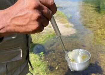 Casos de malária caem no Amazonas, mas áreas indígenas ainda concentram 44% dos registros