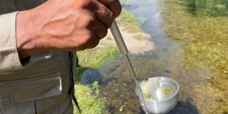 Casos de malária caem no Amazonas, mas áreas indígenas ainda concentram 44% dos registros