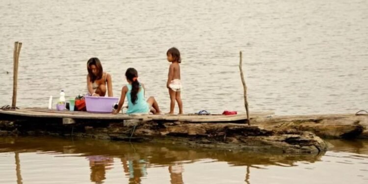 Amazonas é o 2º estado do país com maior risco ambiental e climático para crianças, diz Unicef
