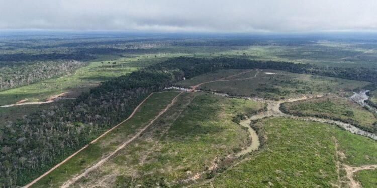 Desmatamento cai 38% no Amazonas, mas estado segue como o 3º que mais derruba floresta, aponta Imazon